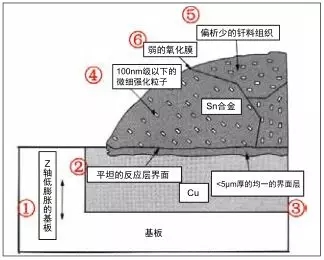 1584081487489615.jpg 5.webp.jpg