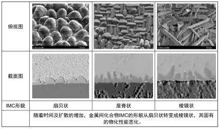 1584081558521717.jpg 8.webp.jpg